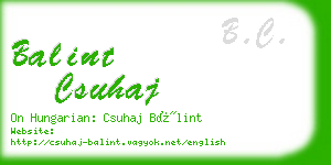balint csuhaj business card